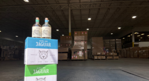 Alma Del Jaguar