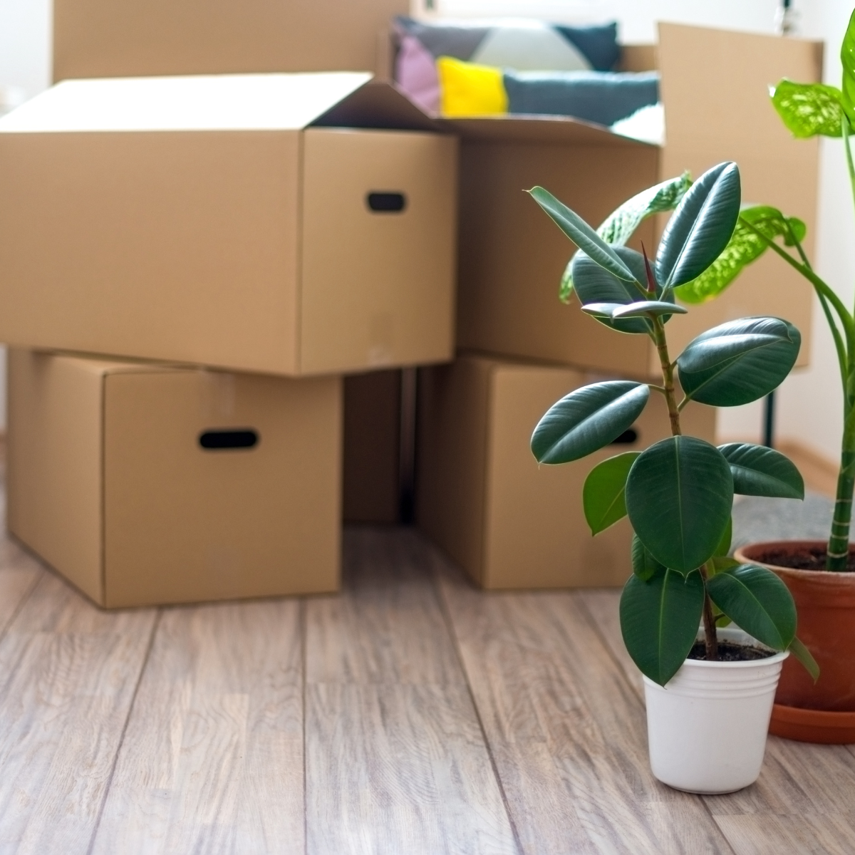 8 Benefits of Hiring a Full-Service Moving Company