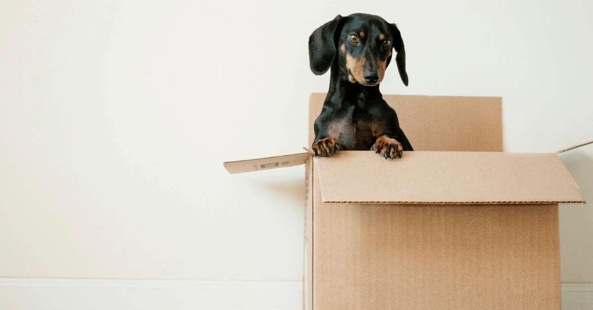 What Not to Pack When Moving