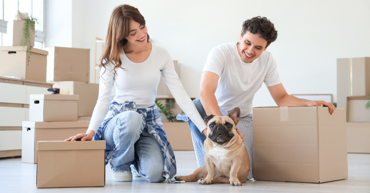 Dog Owner’s Guide to Moving With Pets