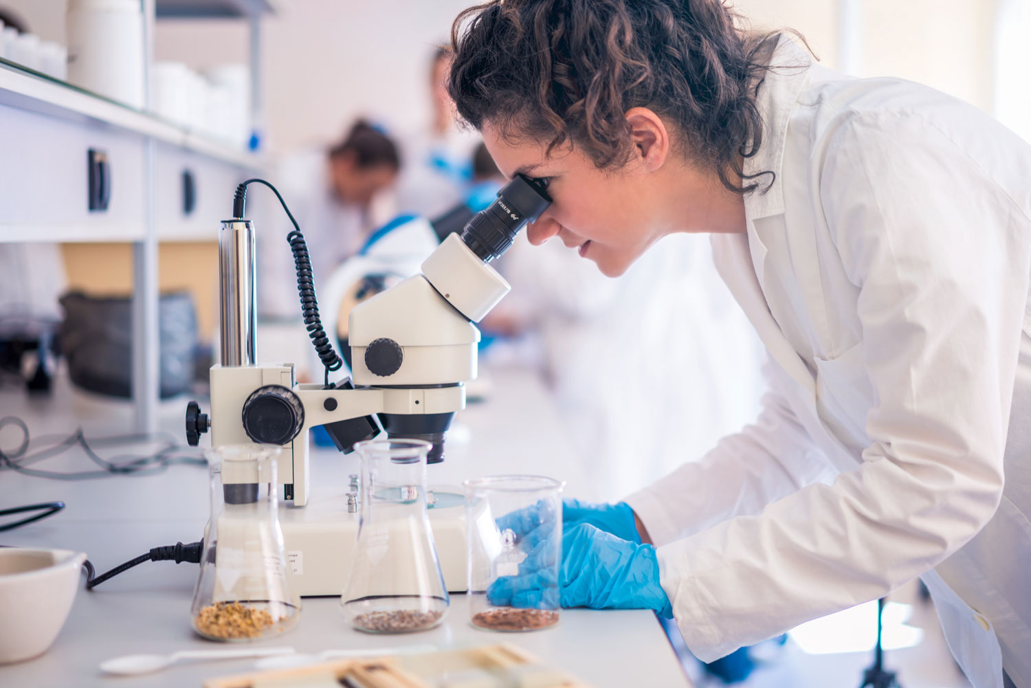 lady looking in a microscope