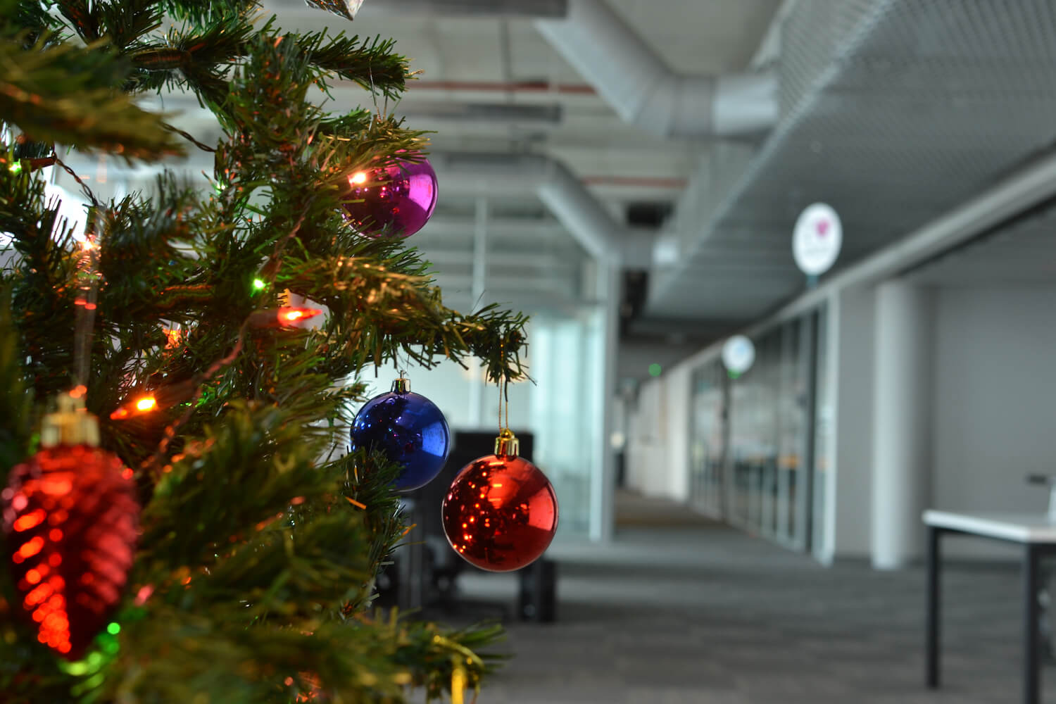 christmas tree in office